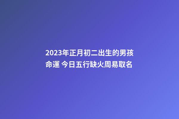 2023年正月初二出生的男孩命運 今日五行缺火周易取名